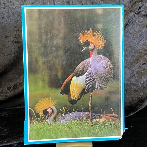 The Treasury of Birds | 1972 | Vintage Bird Book - Picture 10 of 10